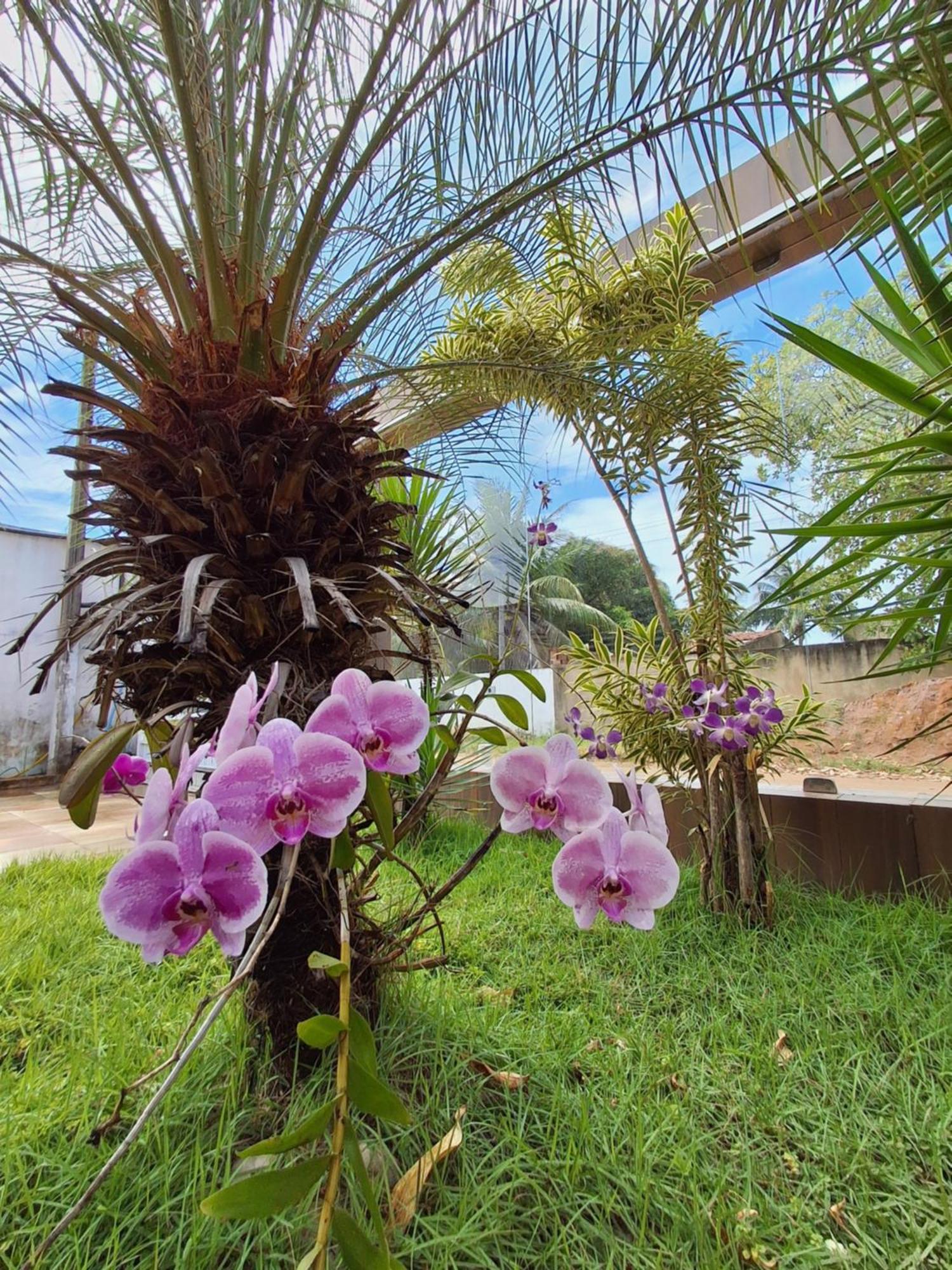Casa Com Piscina Na Praia De Peroba Maragogi Εξωτερικό φωτογραφία